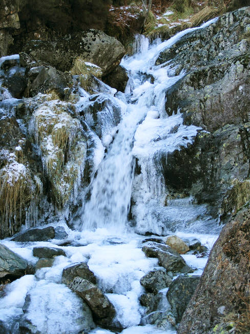 A semi-frozen Brimfull Beck 