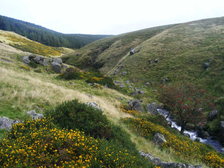 River Calder at Buck Hole