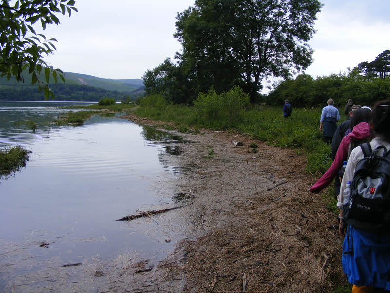 Derwent Water shoreline path 