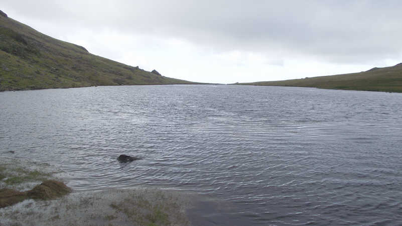 Greendale Tarn