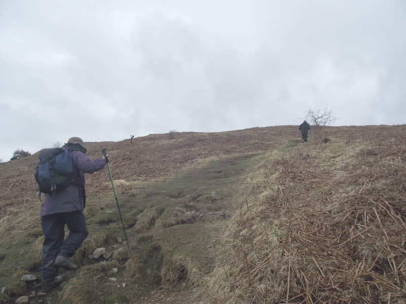 North-East Corner of Latterbarrow 