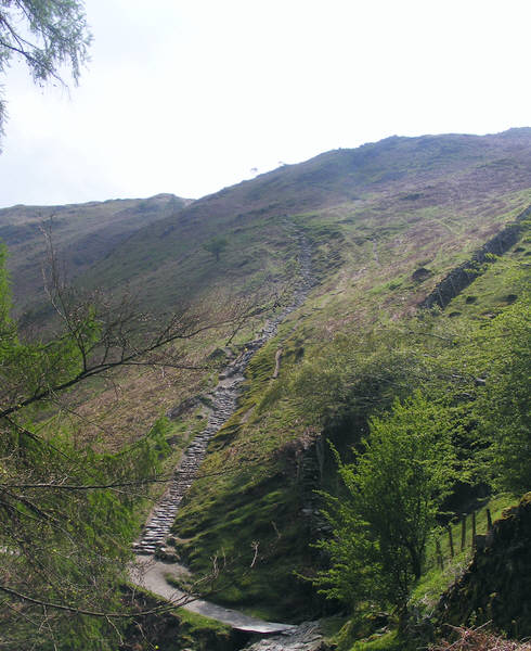 Steps up Loughrigg Fell 