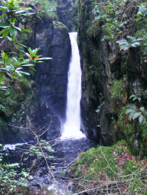 Stanley Force, Eskdale