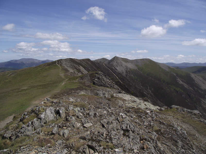 View east along Whiteside ridge