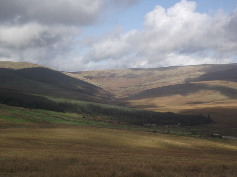 Worm Gill seen from Scalderskew 