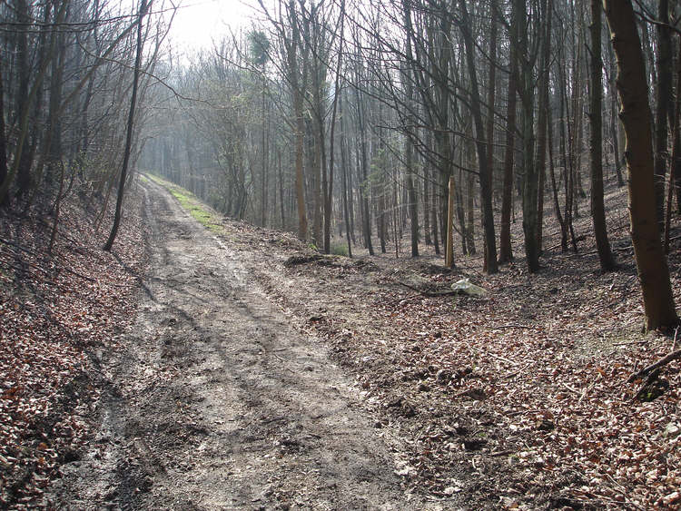 Great Plantation Greenwick